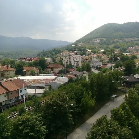 Aja Hadzici Daire *