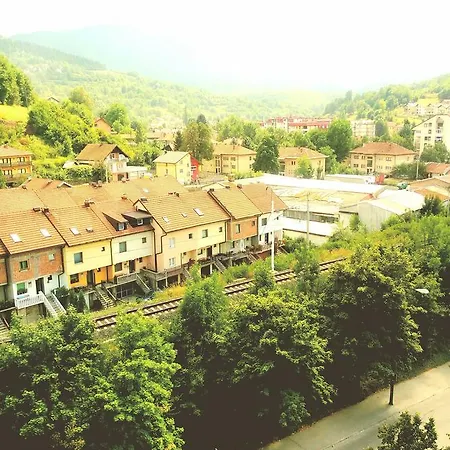 Daire Aja Hadzici *