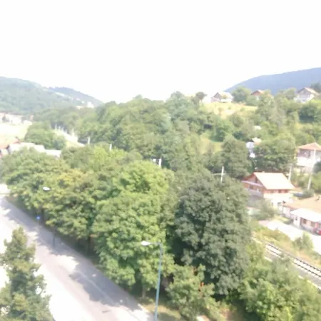 Aja Hadzici Daire